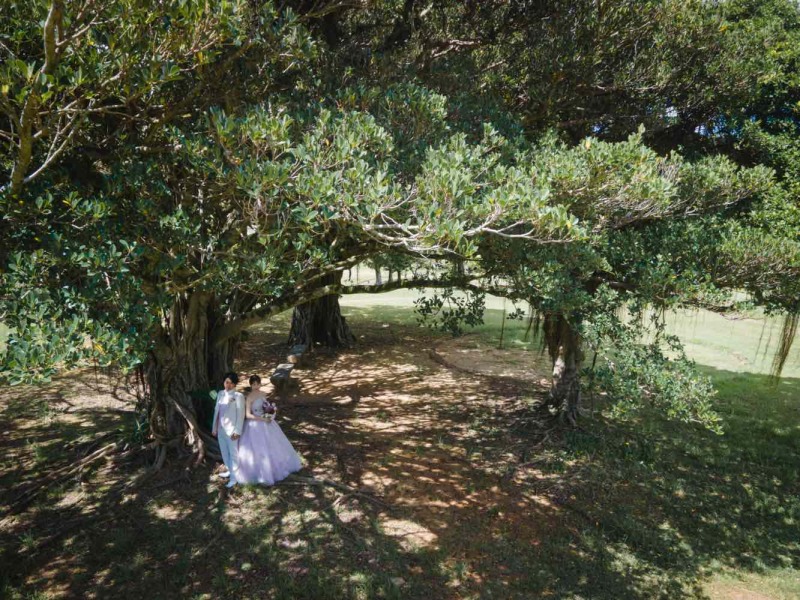 ワルツフォトスタジオ_ドローン撮影できる