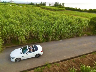 沖縄ならではのダイナミックな風景をドローンで撮影しております。ドレスアップしたお二人が壮大な景色の中に溶け込んでいます。