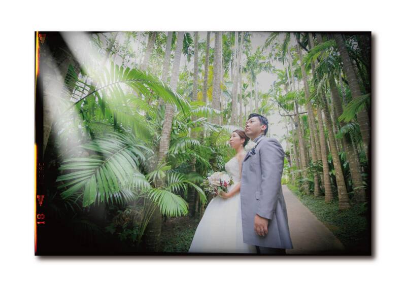 雨写真は雨のあるときにしか撮影出来ません。当たり前のことですが、雨を嫌うのではなく、受け入れた上で作品にする、そんな余裕があっても素敵だと考えています。