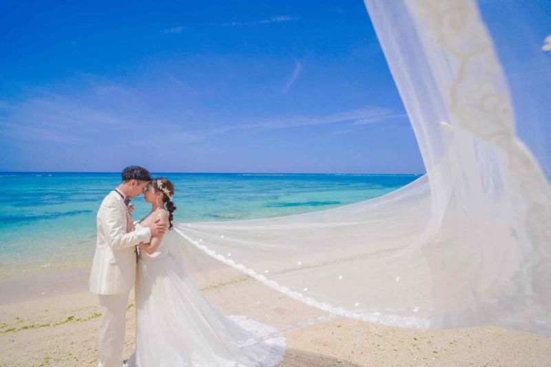 【ヤシの木植物園&ビーチ撮影】南国感じるヤシの木グリーン&ビーチでの撮影&yen;74,000 ♪♪沖縄県在住の方&yen;66,600！