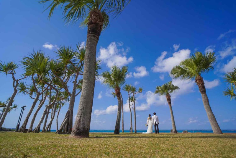 【スタジ&ビーチフォトプラン】スタジオでの撮影&ヤシの木ビーチフォト¥64,000 ♪♪沖縄県在住の方¥57,600!