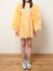 10YE060036/5VW060011