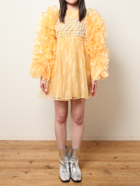 10YE060036/5VW060011