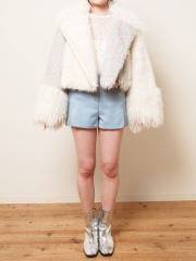 6BW140004/2W140086/4BL5848a