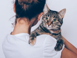 ペットとの撮影