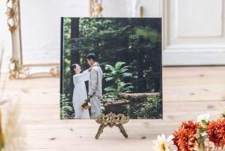 フォトアルバムSeed10P(260x260)