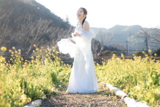 ドレスショール