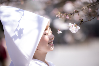 Think Fotostudio_和装