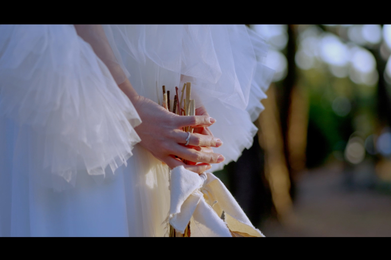 Point1 多彩な撮影シーン