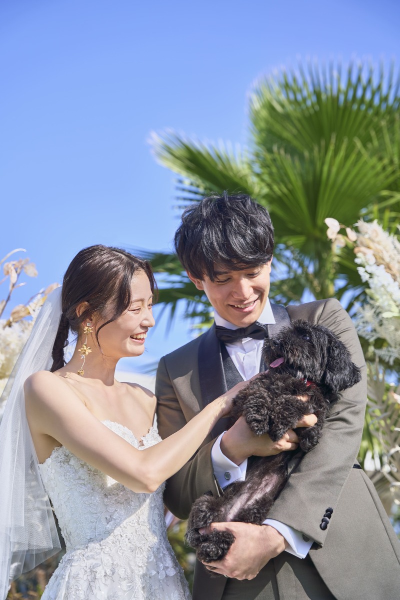 緑溢れる公園でペットと一緒に残す特別な時間