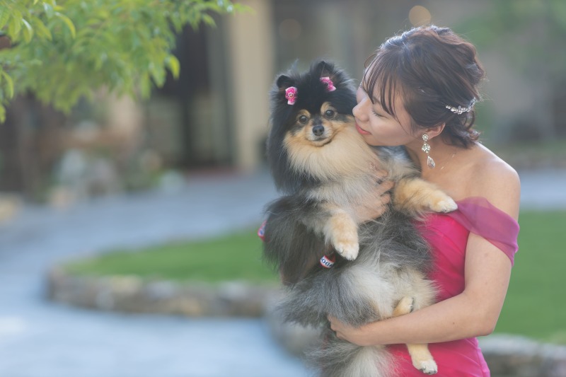 自然が広がる空間でペットとの撮影