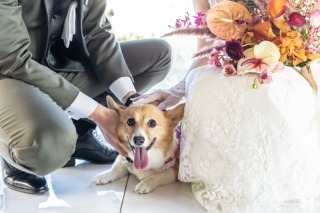 STUDIO axe Wedding Specialties