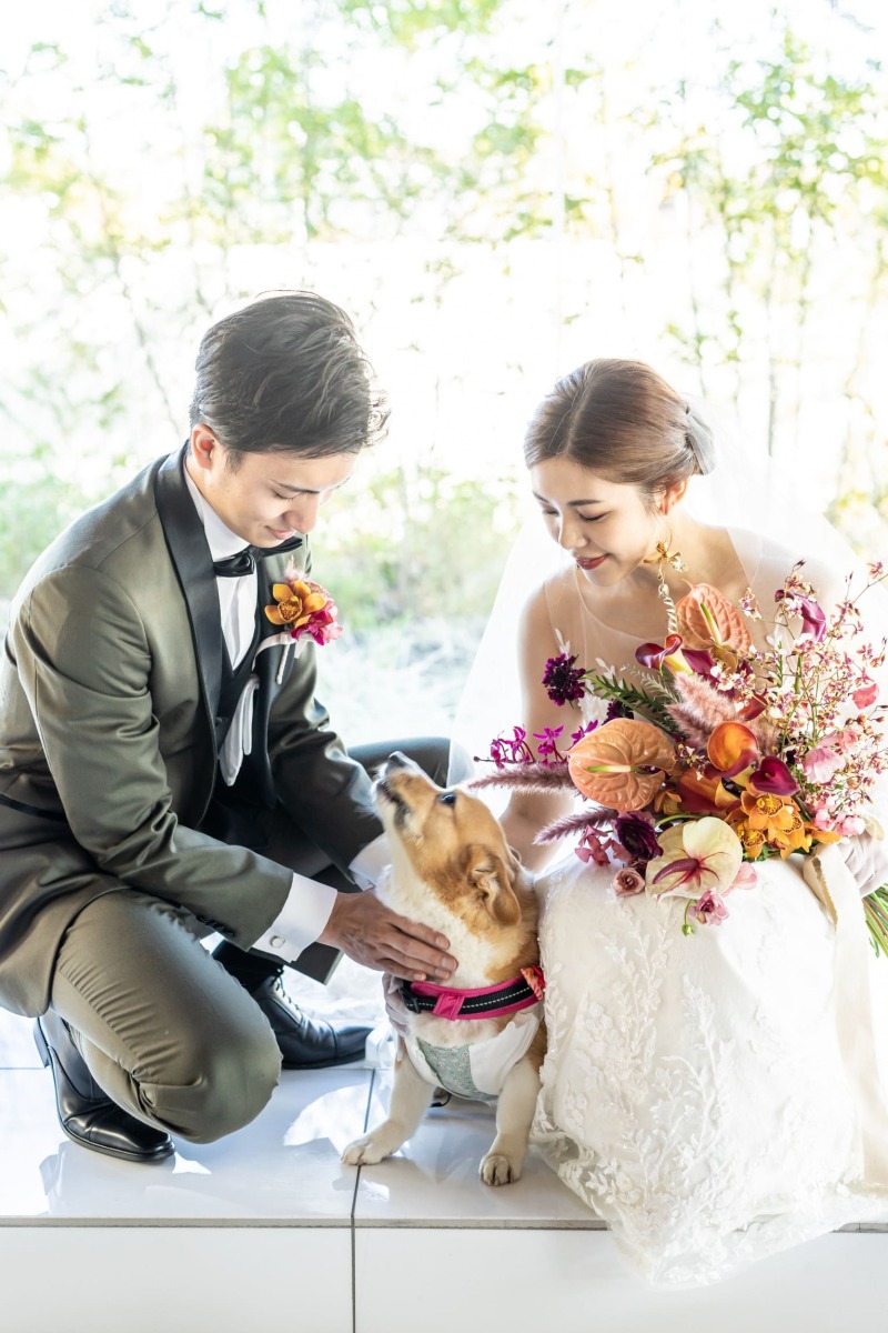 家族の一員であるペットも一緒に撮影可能◎