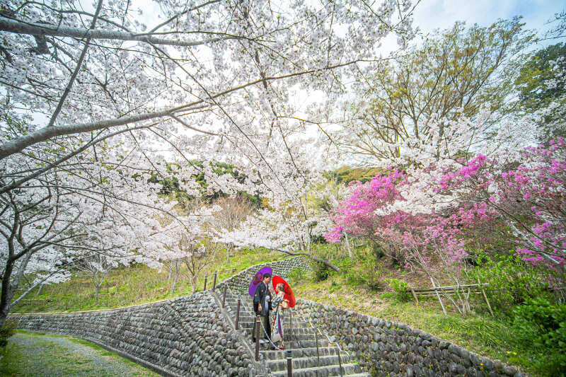 【期間限定】★春直前割★和装ロケーション撮影プラン/データ50カット付き/衣裳選び放題！