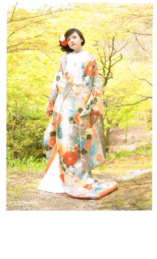 菊花青海紋　青