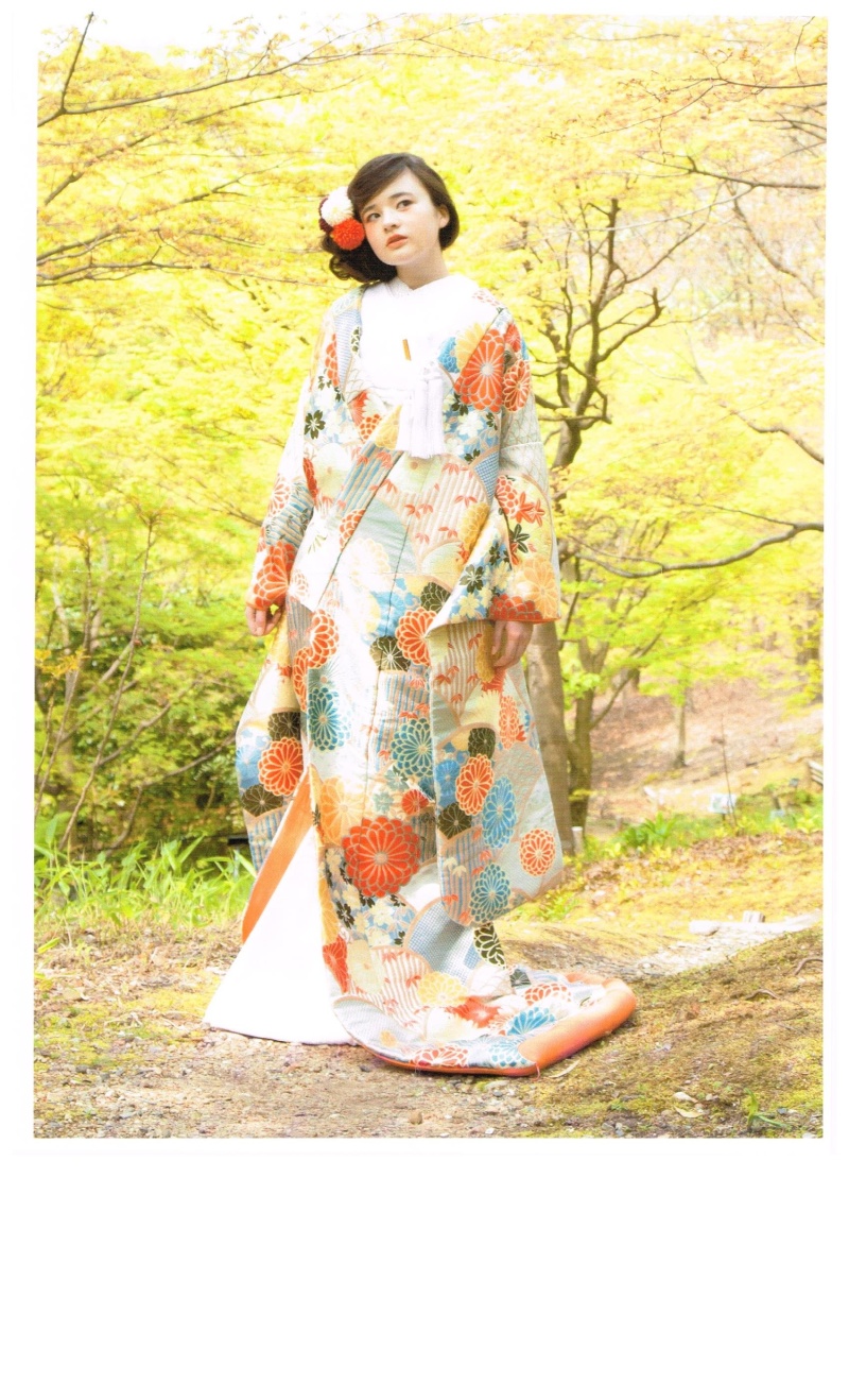 菊花青海紋　青