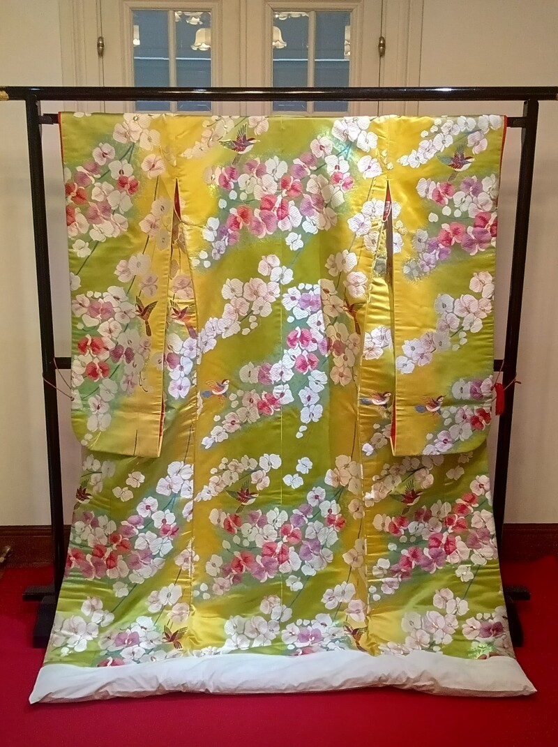 ４３７萌葱胡蝶蘭