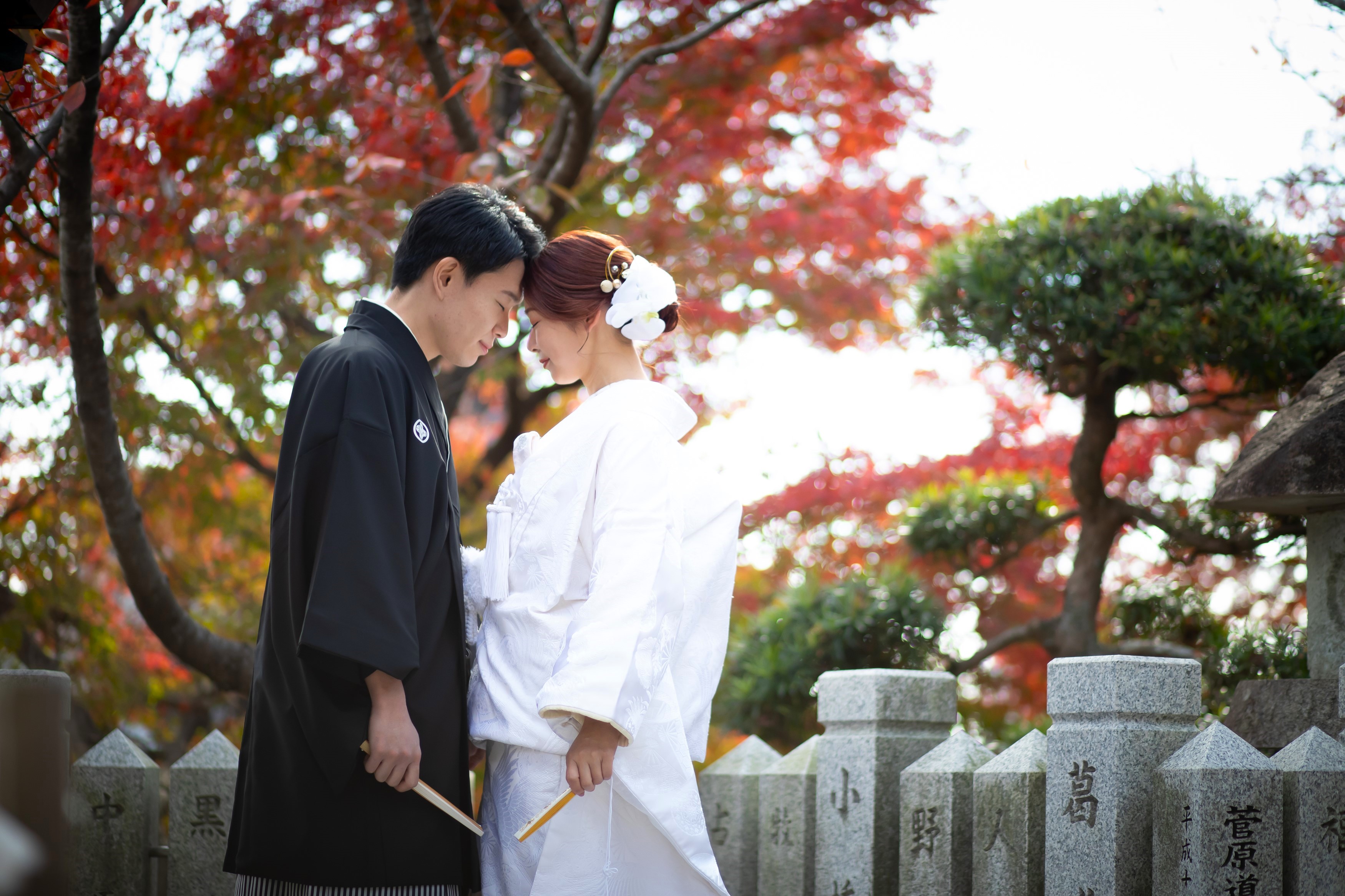 Point1 多彩な撮影シーン