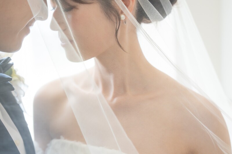 スペシャルプラン