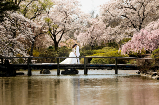photograph Amery_緑水園