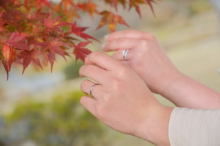 photograph Amery_緑水園