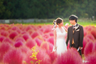 photograph Amery_猪苗代ハーブ園