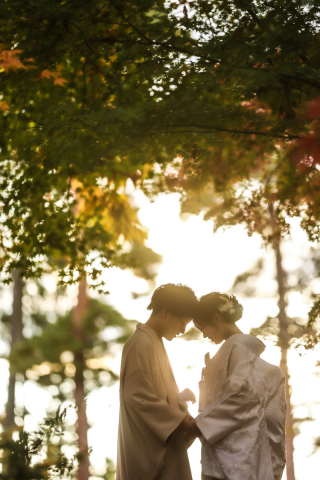photograph Amery_須賀川牡丹園
