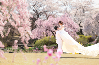photograph Amery_緑水園