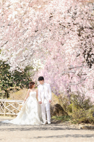 photograph Amery_緑水園
