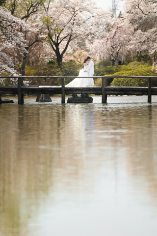 photograph Amery_緑水園