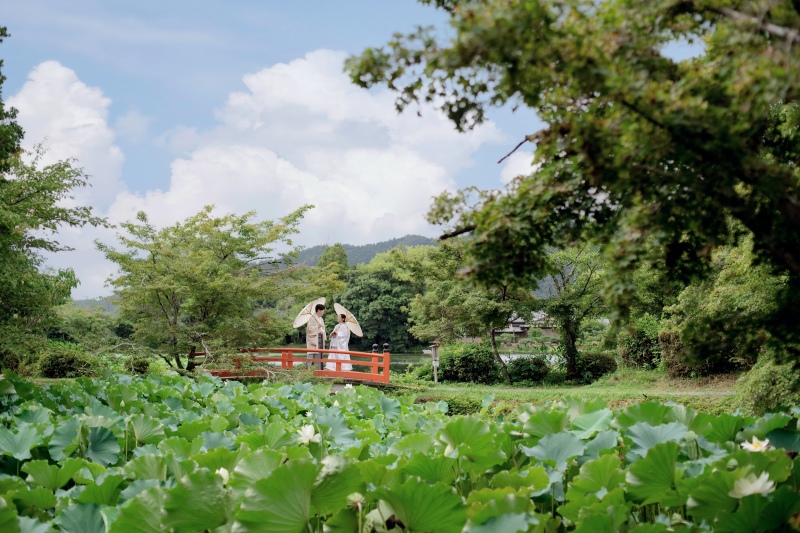 綺麗な景色の中で