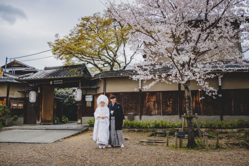 中村楼の正面には満開の桜が！