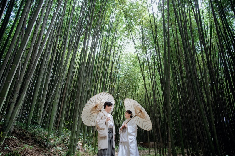 緑の綺麗な季節 【大覚寺】
