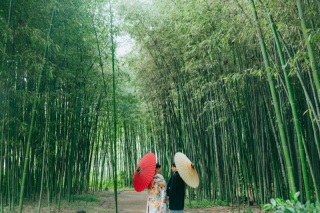 Dears Pictures KYOTO_【ロケ撮影】大覚寺