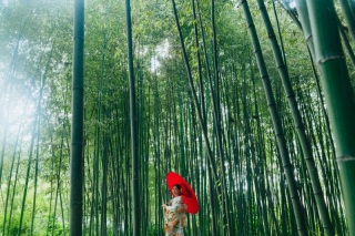 Dears Pictures KYOTO_【ロケ撮影】大覚寺