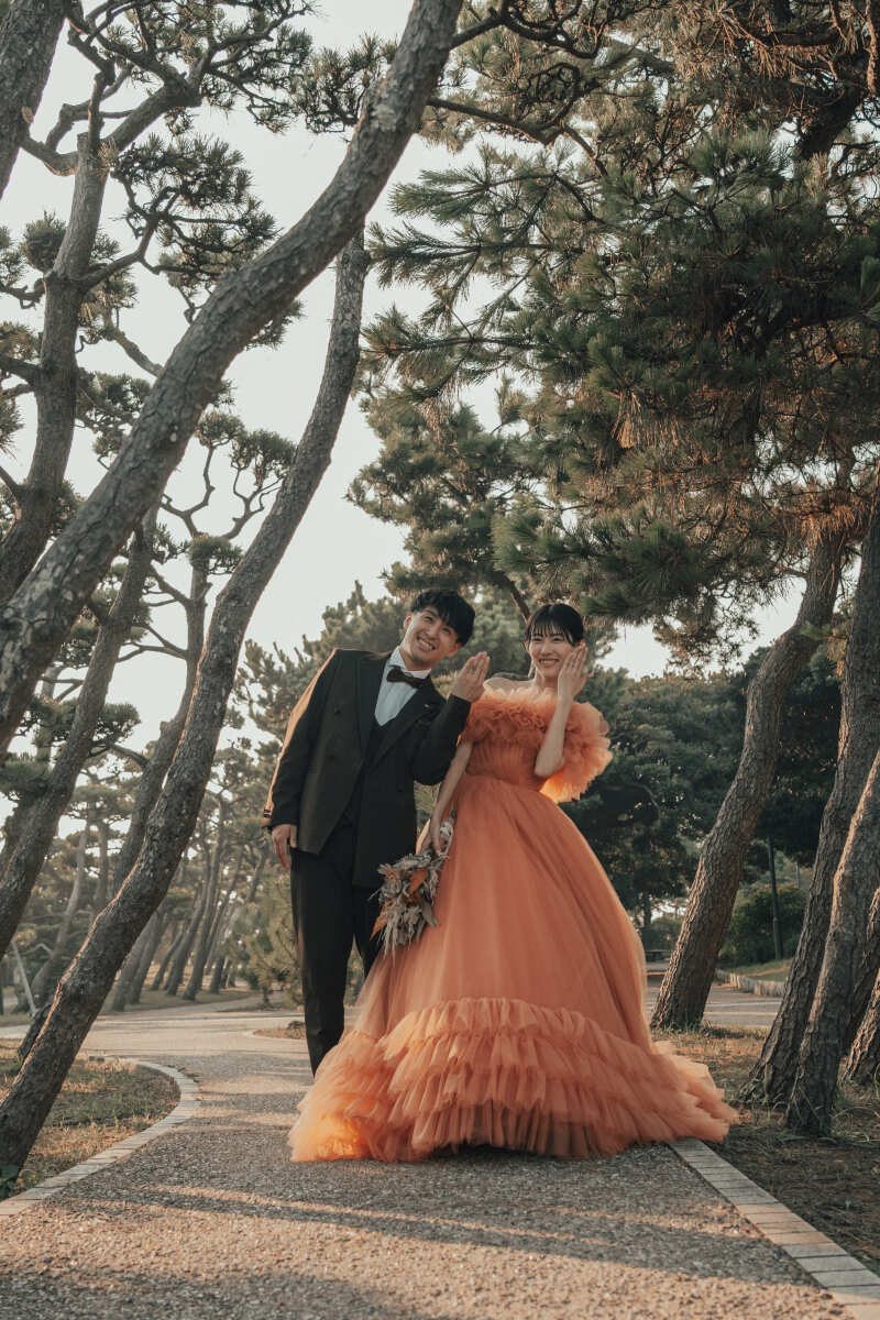 ななめな松たちと