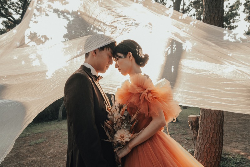 Studio328_動画を作れる