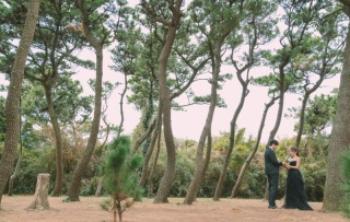 Studio328_城ヶ島／公園エリア