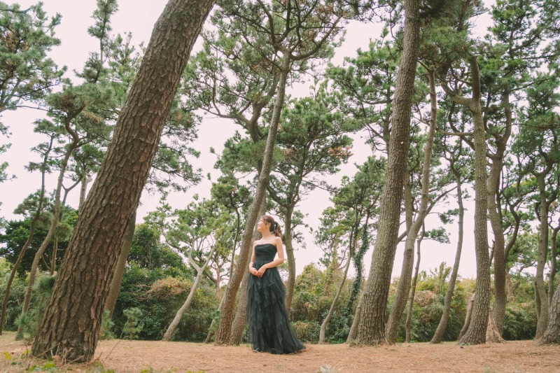 Studio328_城ヶ島／公園エリア