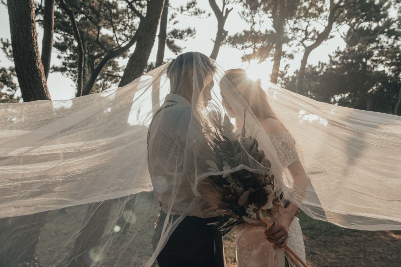 撮影スポット画像