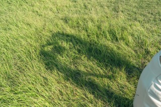 Studio328_カラーリング ／ Bloom