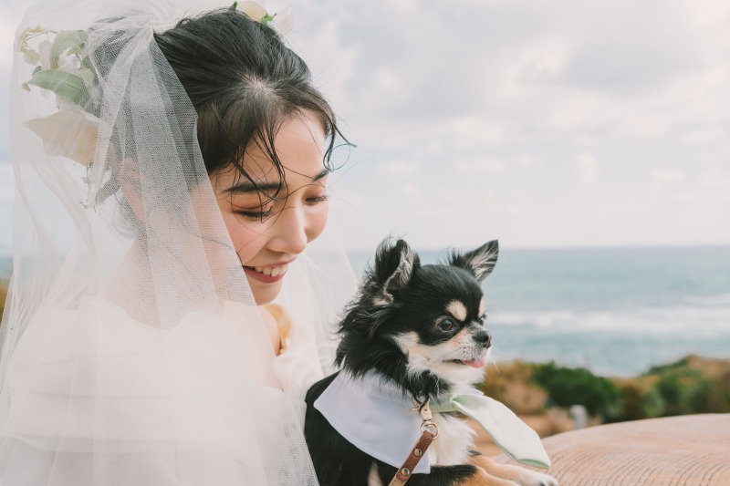 ❤︎ Pet & Location Plan ❤︎