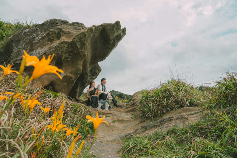 ❤︎ Pet & Location Plan ❤︎