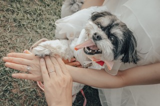 ❤︎ Pet ＆ Location Plan ❤︎