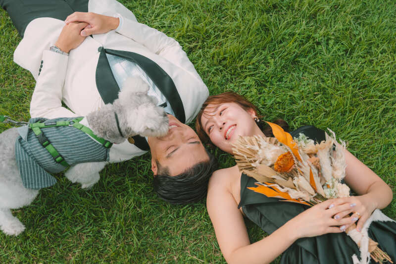 ❤︎ Pet & Location Plan ❤︎