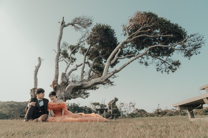 公園オンリープラン