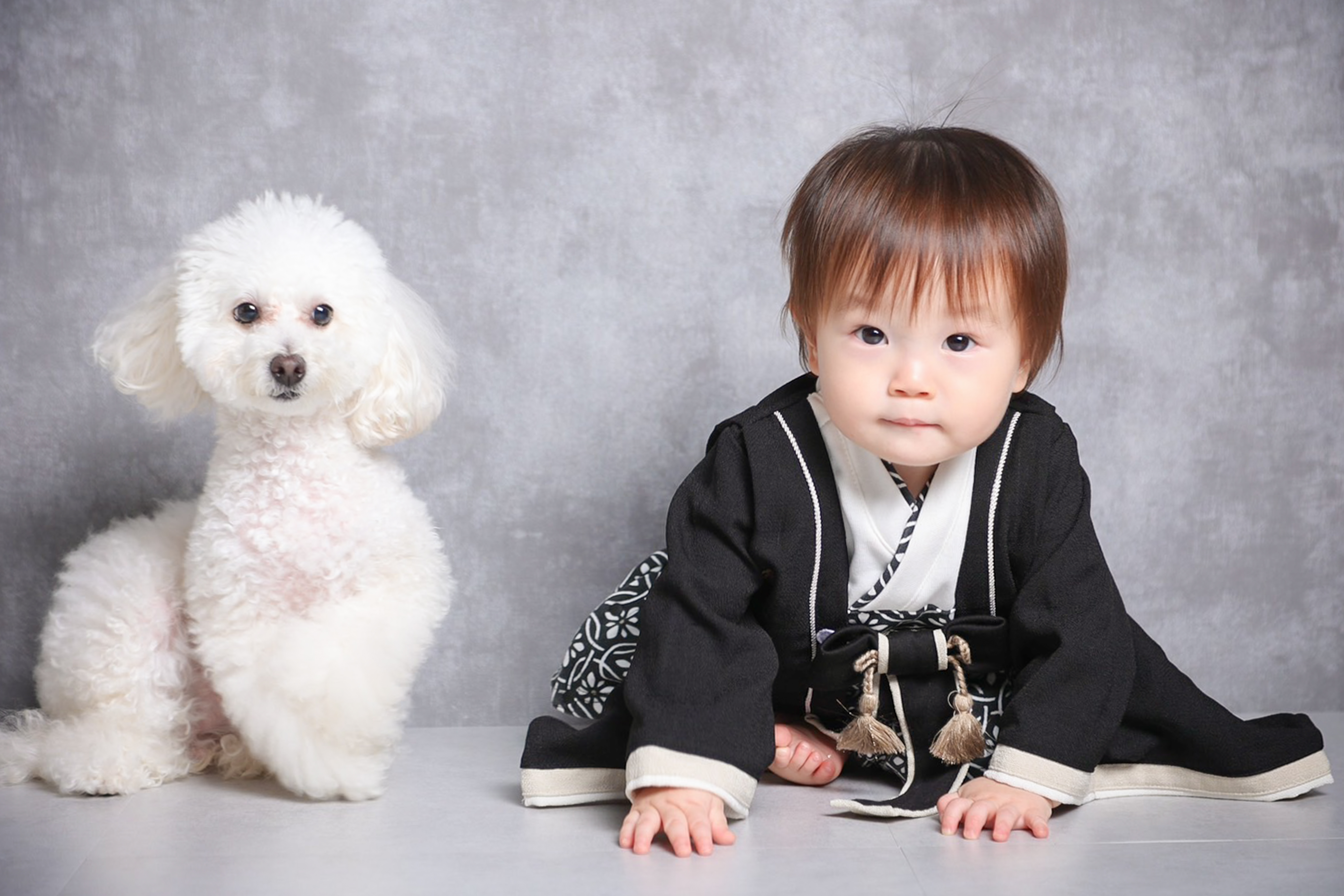 Point1 多彩な撮影シーン