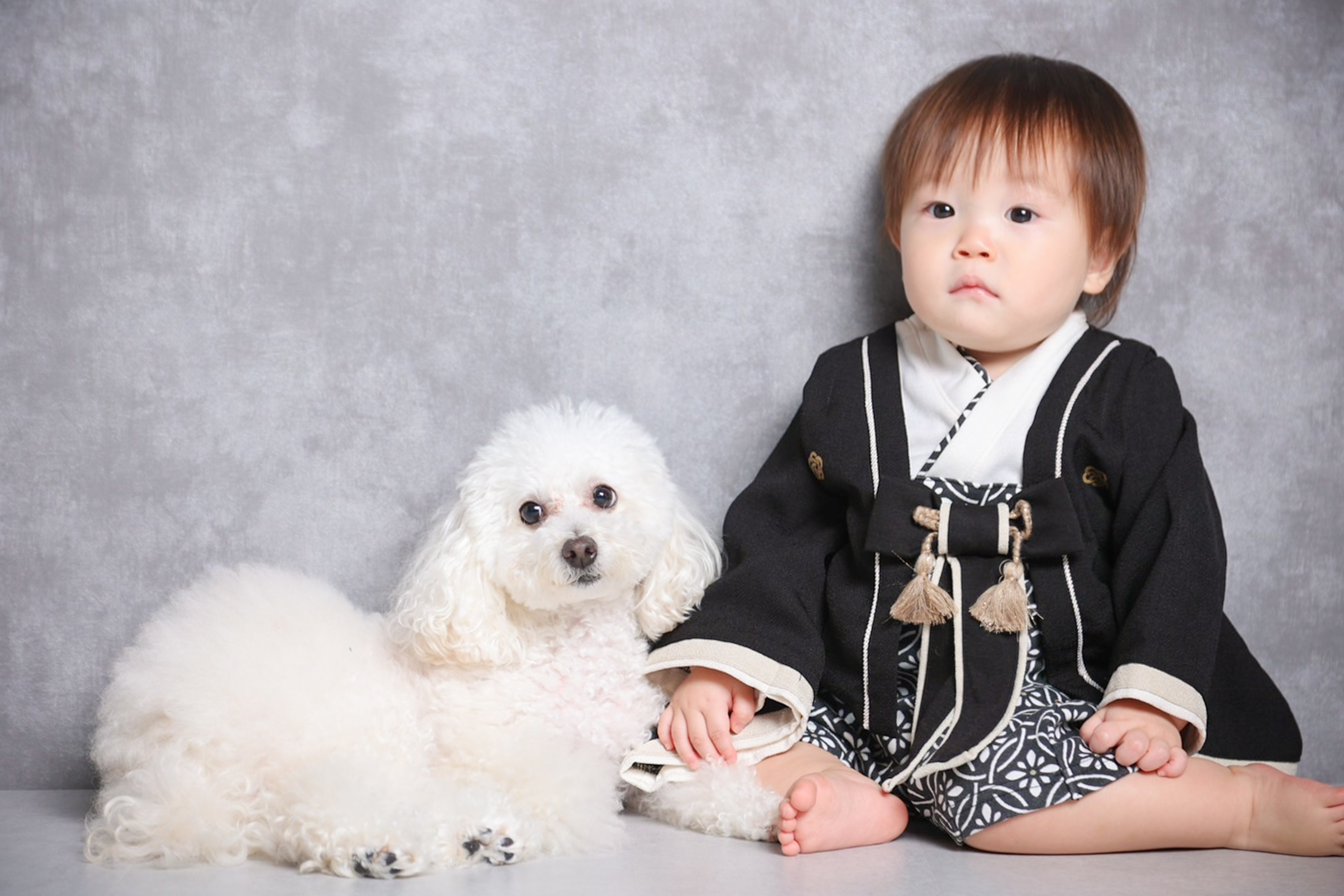 Point1 多彩な撮影シーン