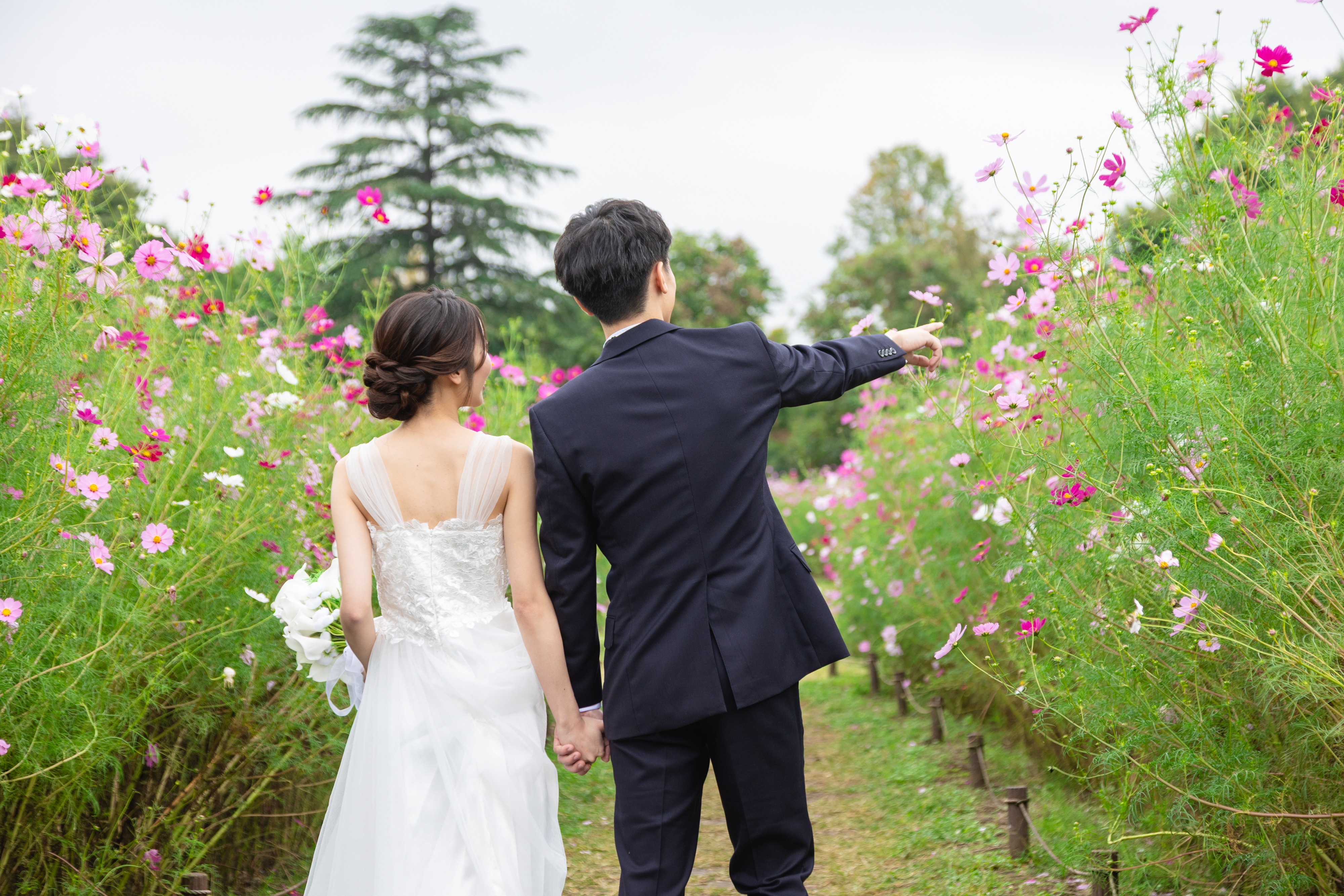 Point1 多彩な撮影シーン