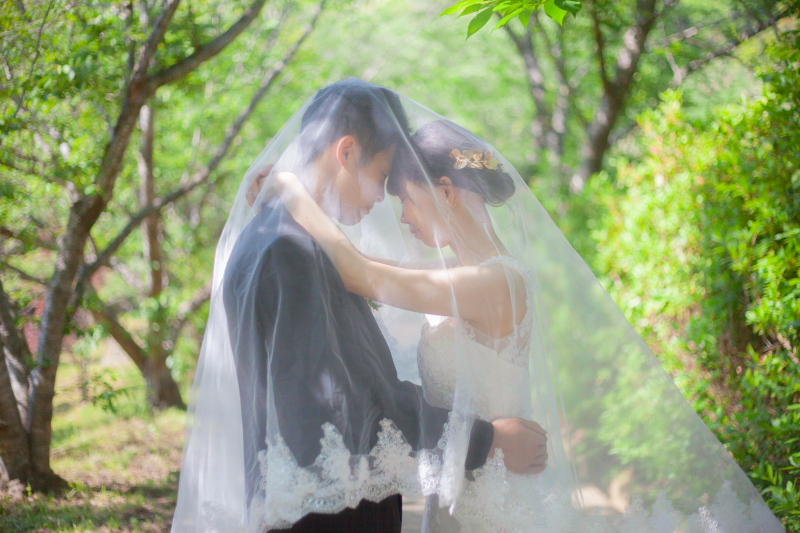 包み込む、やさしさ